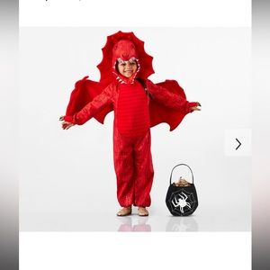 Pottery barn kids red dragon costume